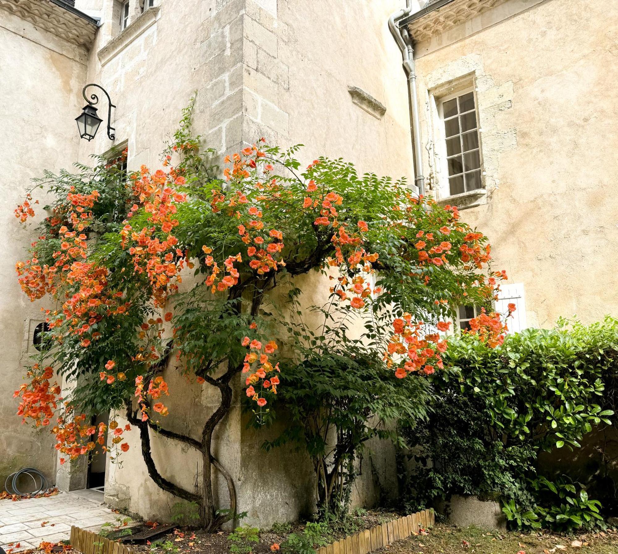 Domaine Labattut Bed and Breakfast Saint-Astier  Eksteriør billede